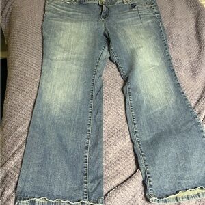 Torrid Light Blue Flare Jeans